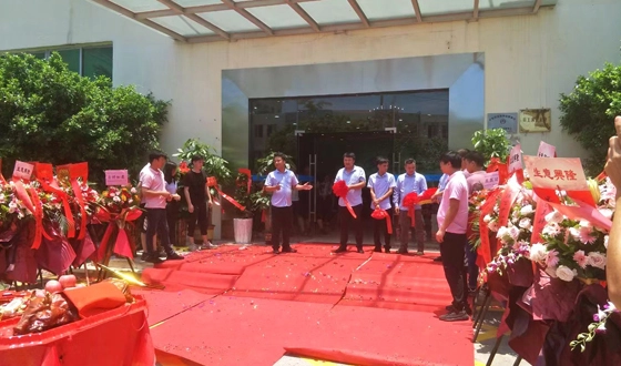 company activities