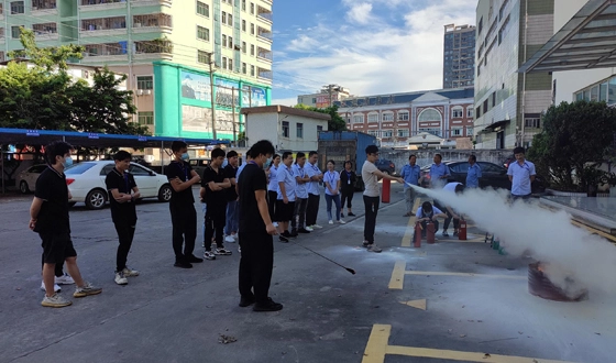 company activities