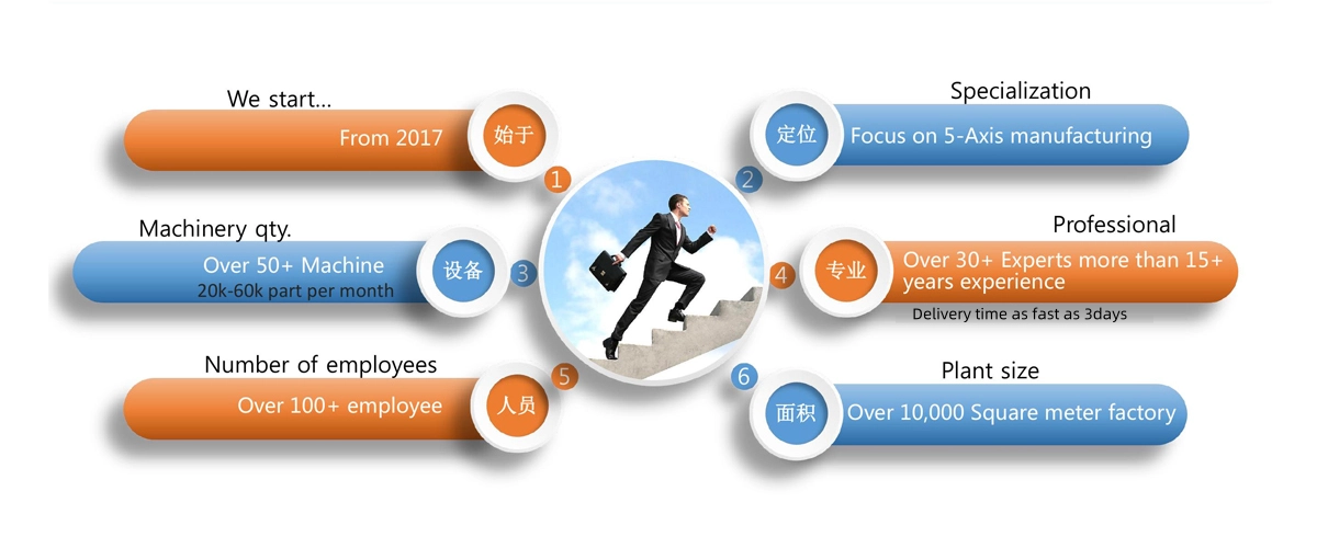 Company Overview (Specialization & Focus)